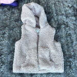 Cozy Sherpa Hooded Vest